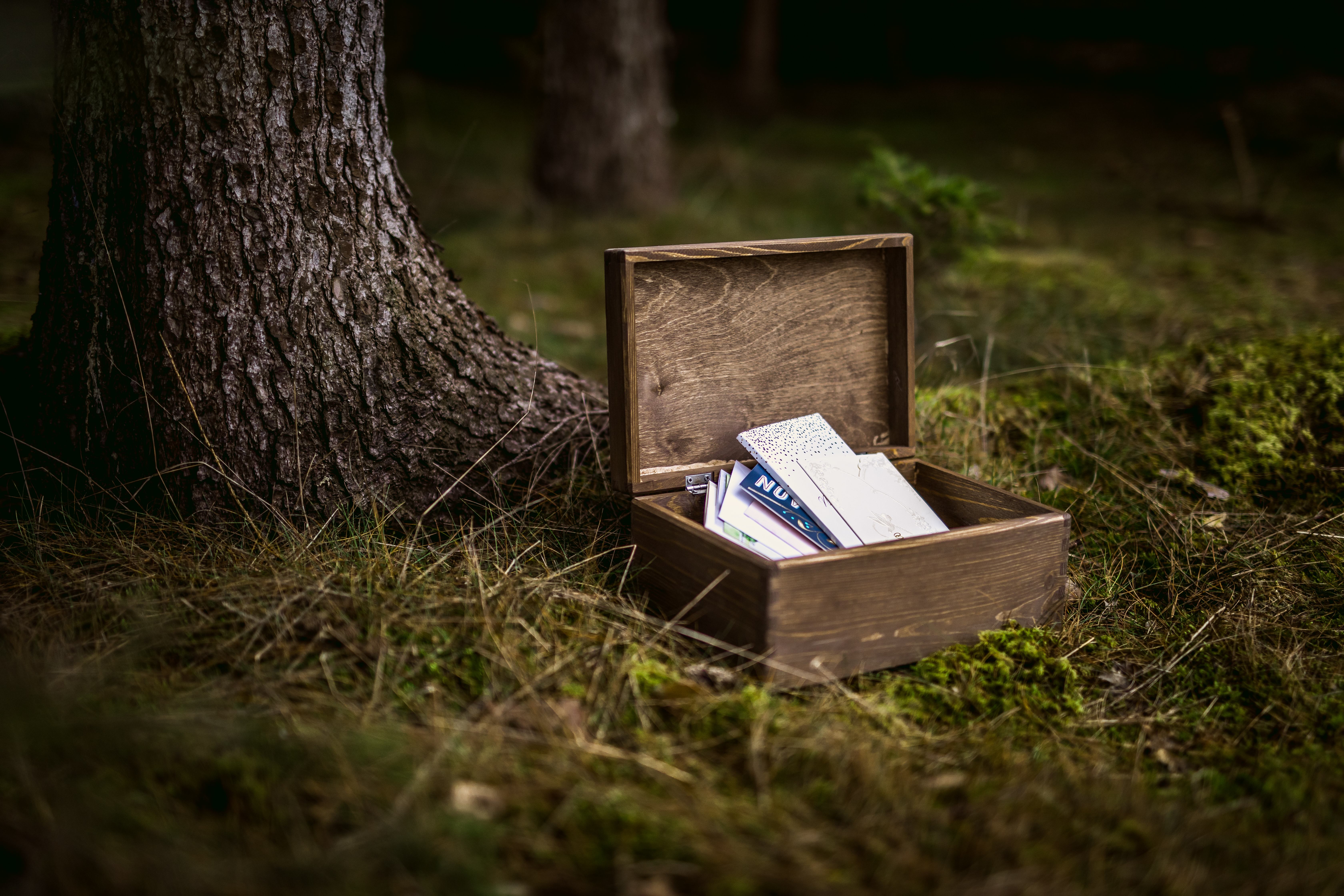 Detail potisku svatební dřevěné truhlice